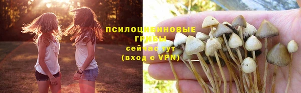 прущие грибы Лихославль