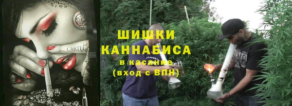 ECSTASY Липки