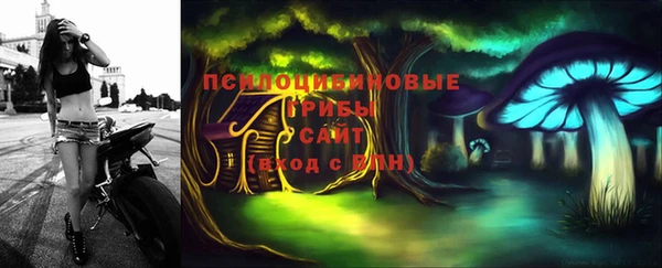 прущие грибы Лихославль