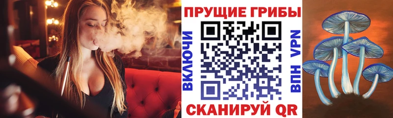 Псилоцибиновые грибы Cubensis закладка Шиханы